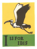 I is for Ibis Prints