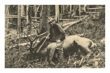 Man with Dead Elk Prints