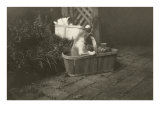 Kittens in Basket Posters