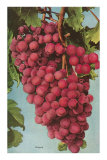Grapes Poster