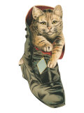 Puss in Boot Photo