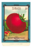 Tomato Seed Packet Posters