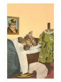 Kitten Sleeping in Bed Posters