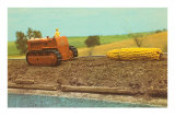 Tractor Hauling Giant Ear of Corn Kunstdrucke