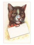Cat with Empty Tag Lámina giclée Cat with Empty Tag Lámina giclée