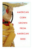 American Corn Grown from American Seed Photo