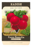 Radish Seed Packet Poster