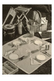 Photograph of Picnic Service Posters