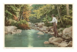 Trout Fishing in Creek Prints