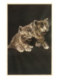 Kittens Coughing Up Hairballs Lámina giclée