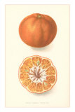 Orange, Interior and Exterior Prints