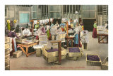 Raisin Packing House, Fresno, California Posters