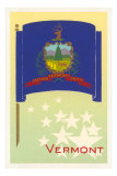 Vermont Flag Lámina