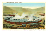 Roundhouse, Pocatello, Idaho Prints