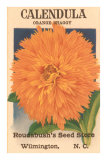 Calendula Seed Packet Pósters Calendula Seed Packet Pósters