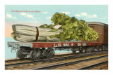 Giant Celery on Flatbed Prints