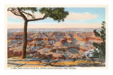 Yavapai, Grand Canyon Posters