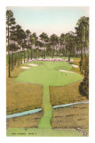 Rendering of Golf Course, 184 Yards, Par 3 Posters