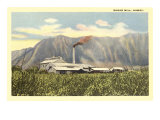 Sugar Mill, Hawaii Prints