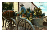 Pineapple and Banana Cart, Hawaii Posters