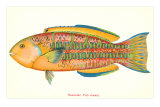 Hawaiian Fish, Awela Posters