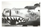 Nose Art, Boise Bronc Posters