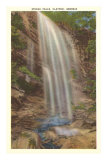 Stecoa Falls, Clayton, Georgia Posters