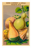 French Gourd Selection Seed Packet Posters