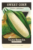 Sweet Corn Seed Packet Prints