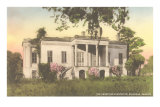 Hermitage Plantation, Savannah, Georgia Prints