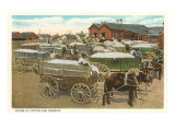 Cotton Gin Lámina giclée Cotton Gin Lámina giclée
