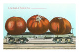 Giant Tomatoes on Flatbed Posters
