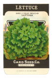 Lettuce Seed Packet Posters