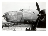 Nose art, « Chaton délicat » Affiches