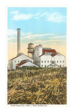 Sugar Mill, Honolulu, Hawaii Poster