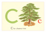 C is for Chestnut Tree Posters