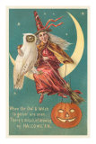 Witch and White Owl Posters