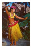 Hula Dancer, Hawaii Foto
