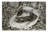 Hat with Fishing Lures Affiches