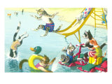 Cats Sliding into Swimming Pool Posters