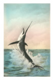 Swordfish on the Line Prints