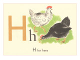 H is for Hen Posters
