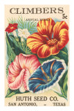 Mixed Climbers Seed Packet Posters Mixed Climbers Seed Packet Posters