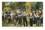 Olive Pickers Posters