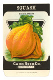 Squash Seed Packet Posters