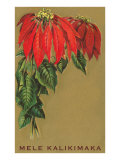 Mele Kalikimaka: flores de pascua Lámina giclée
