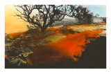 Glowing Lava from Hawaiian Volcano Posters