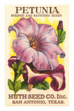 Petunia Seed Packet Prints