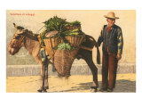 Vegetable Seller with Donkey, Italy - Giclee Baskı Vegetable Seller with Donkey, Italy - Giclee Baskı
