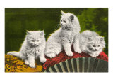 Three Kittens with Fan Impressão giclée Three Kittens with Fan Impressão giclée